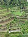 2007 07 17 BALI 0028